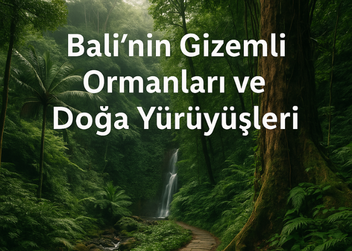 Bali’nin Gizemli Ormanları ve Doğa Yürüyüşleri