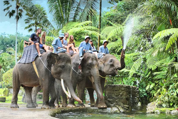 Uçaklı Bali Lüx Tatil Paketi (8 Gün 6 Gece)