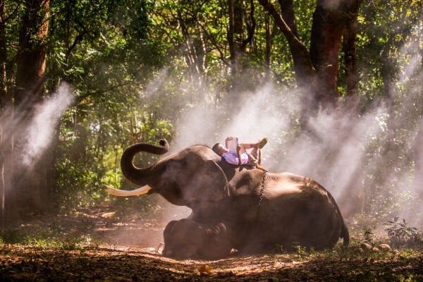 Tayland Phuket Turu (7 Gün 6 Gece) 8 - 14 Eylül 2025 - Tek Kişi