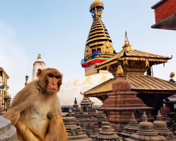Uçaksız Nepal Rüya Tatil Turu
