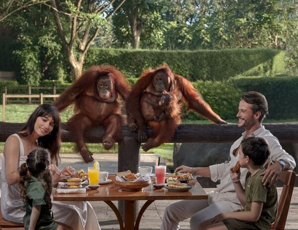 Bali Aile Paketi – Grup Turu   (4-14 Yaş)