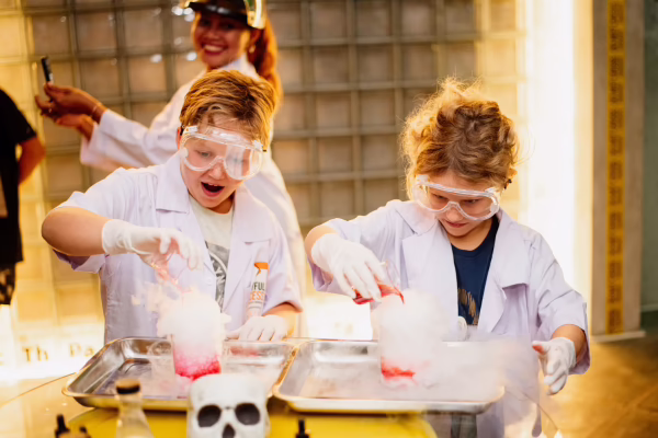 Bali Aile Paketi – Grup Turu   (4-14 Yaş)