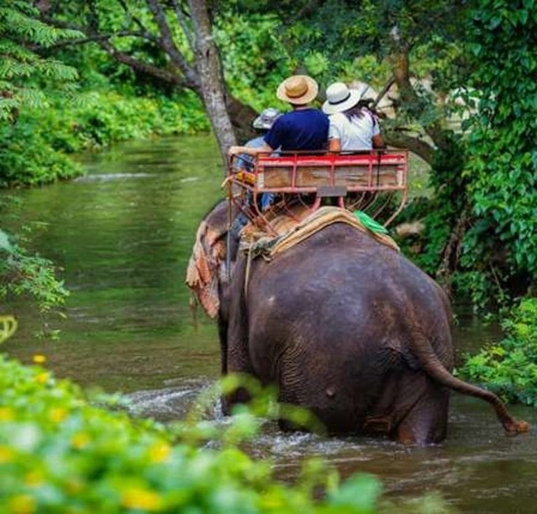 5.Gün OTELDEN ÇIKIŞ, FİL SAFARİ VE BALİ’YE GELİŞ – Tayland-Bali İkilisi 11 Gün 9 Gece Kişiye Özel VIP Program Uçak Dahil (2)