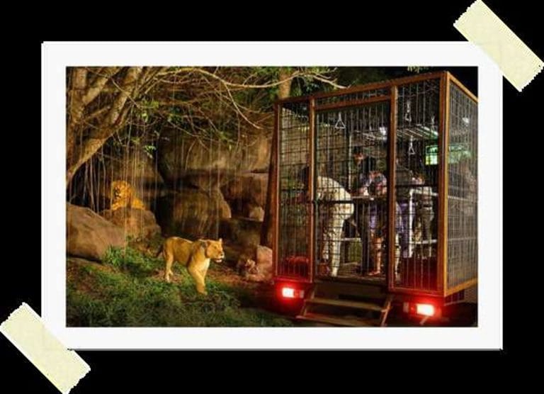 10.Gün BUGÜNÜ TAMAMEN SİZE AYIRDIK! – Tayland-Bali İkilisi 11 Gün 9 Gece Kişiye Özel VIP Program Uçak Dahil