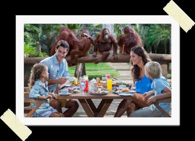 10.Gün BUGÜNÜ TAMAMEN SİZE AYIRDIK! – Tayland-Bali İkilisi 11 Gün 9 Gece Kişiye Özel VIP Program Uçak Dahil (2)