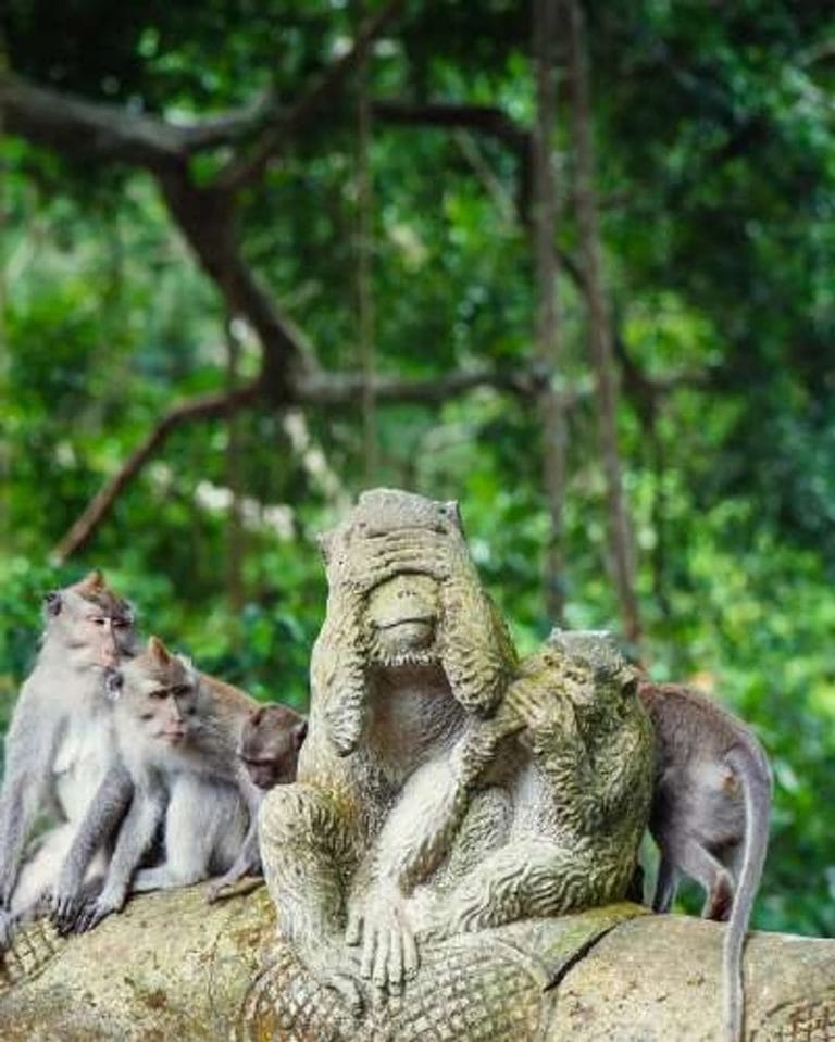 3. Gün - Bali Ubud Turu – Rüya Paket Bali Kişiye Özel Şoförlü VIP Program Uçak Dahil