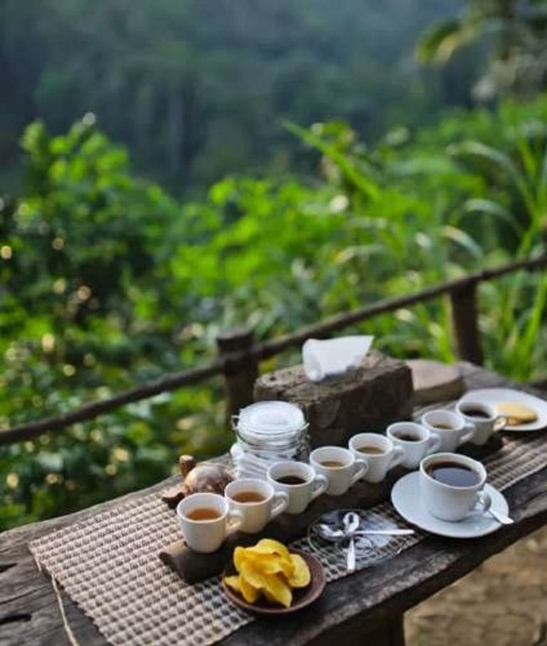 3. Gün - Bali Ubud Turu – Rüya Paket Bali Kişiye Özel Şoförlü VIP Program Uçak Dahil (2)