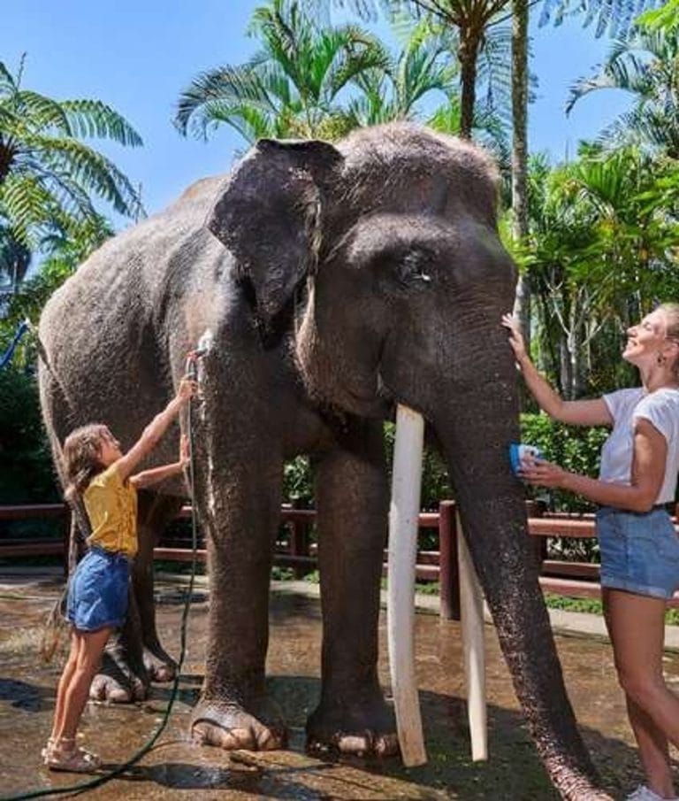 7. Gün - Serbest Dinlenme Günü – Rüya Paket Bali Kişiye Özel Şoförlü VIP Program Uçak Dahil (2)
