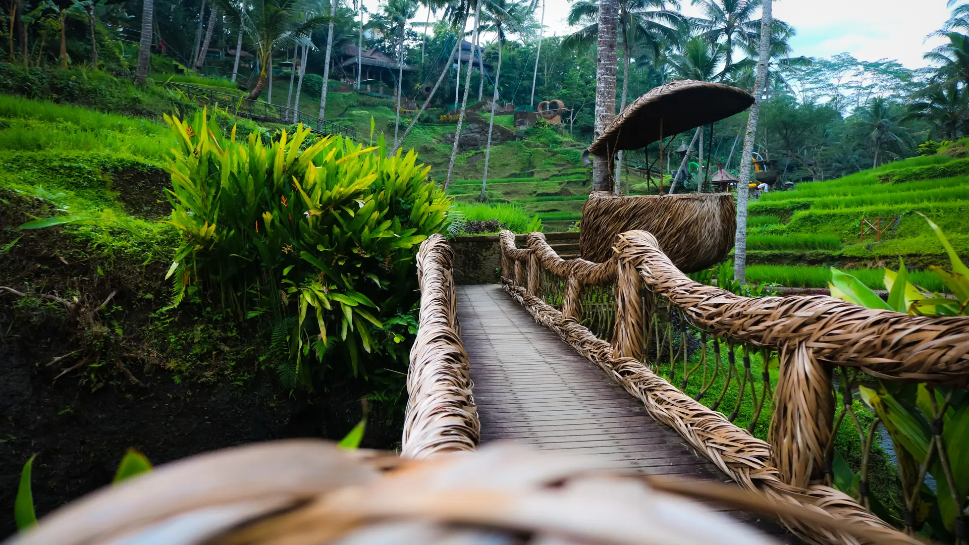 Gold Paket Bali Ki̇şi̇ye Özel Şoförlü Vip Program