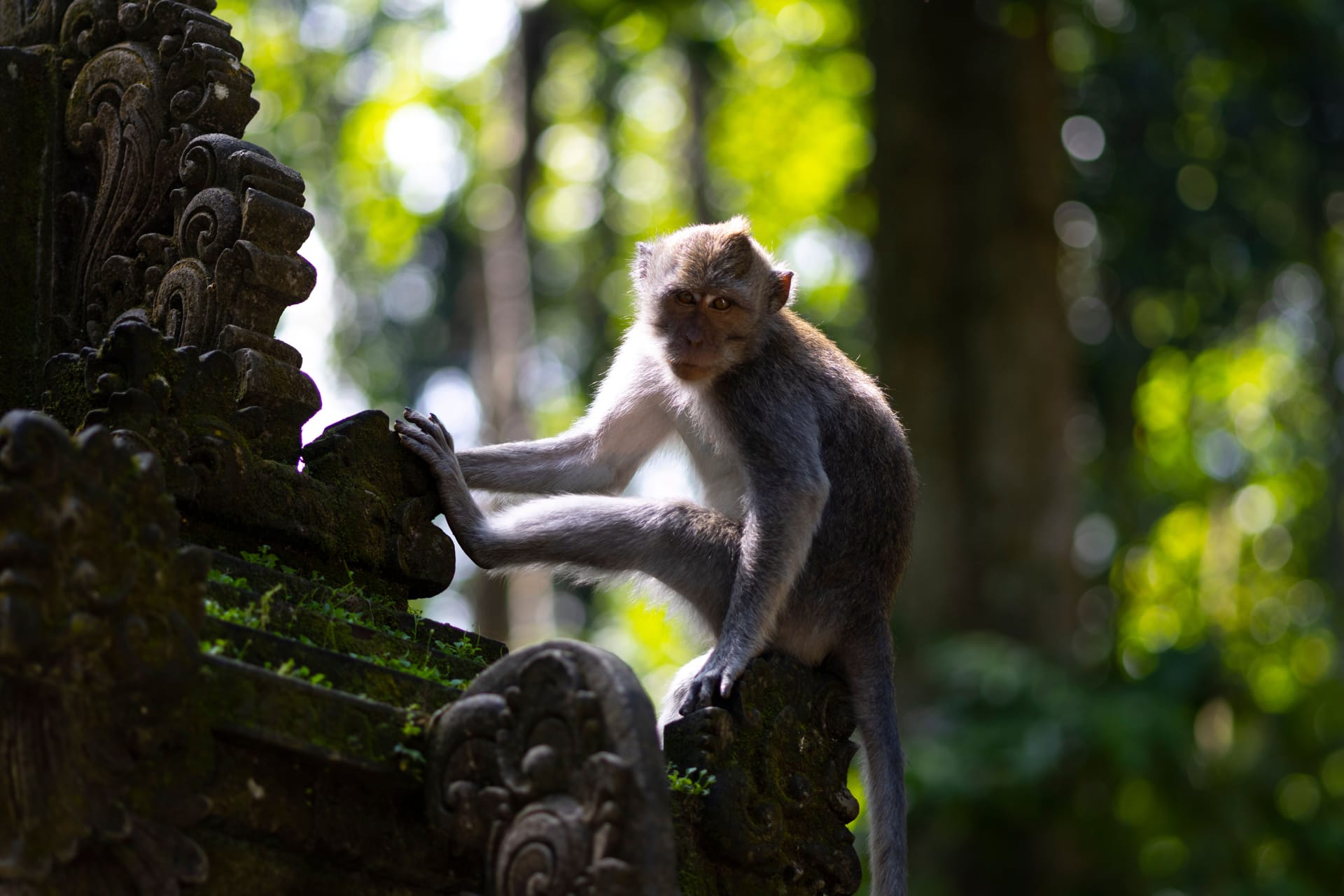 Fantastik Balayı Paketi Netflix Ödüllü Bambu Vi̇lla Konaklamali