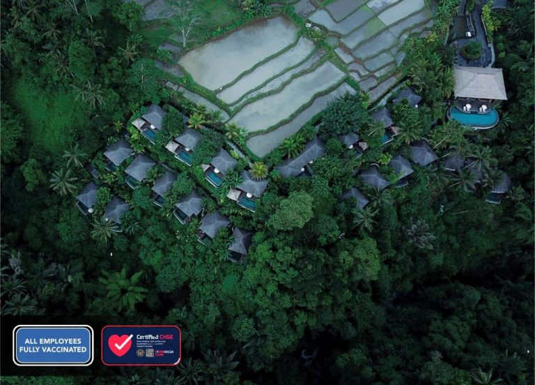 Lüx Paket Bali Kişiye Özel Şoförlü VIP Program Uçak Dahil