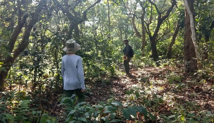 Katmandu Vadisi turları