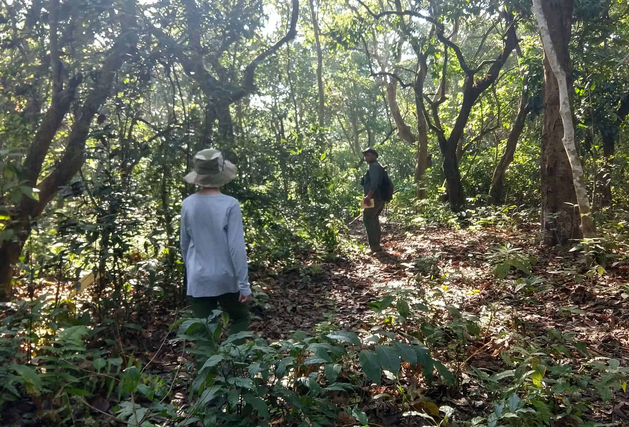 Katmandu Vadisi turları