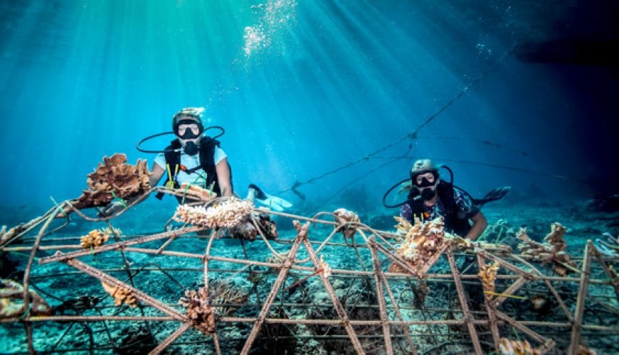 Tropikal Bali turları