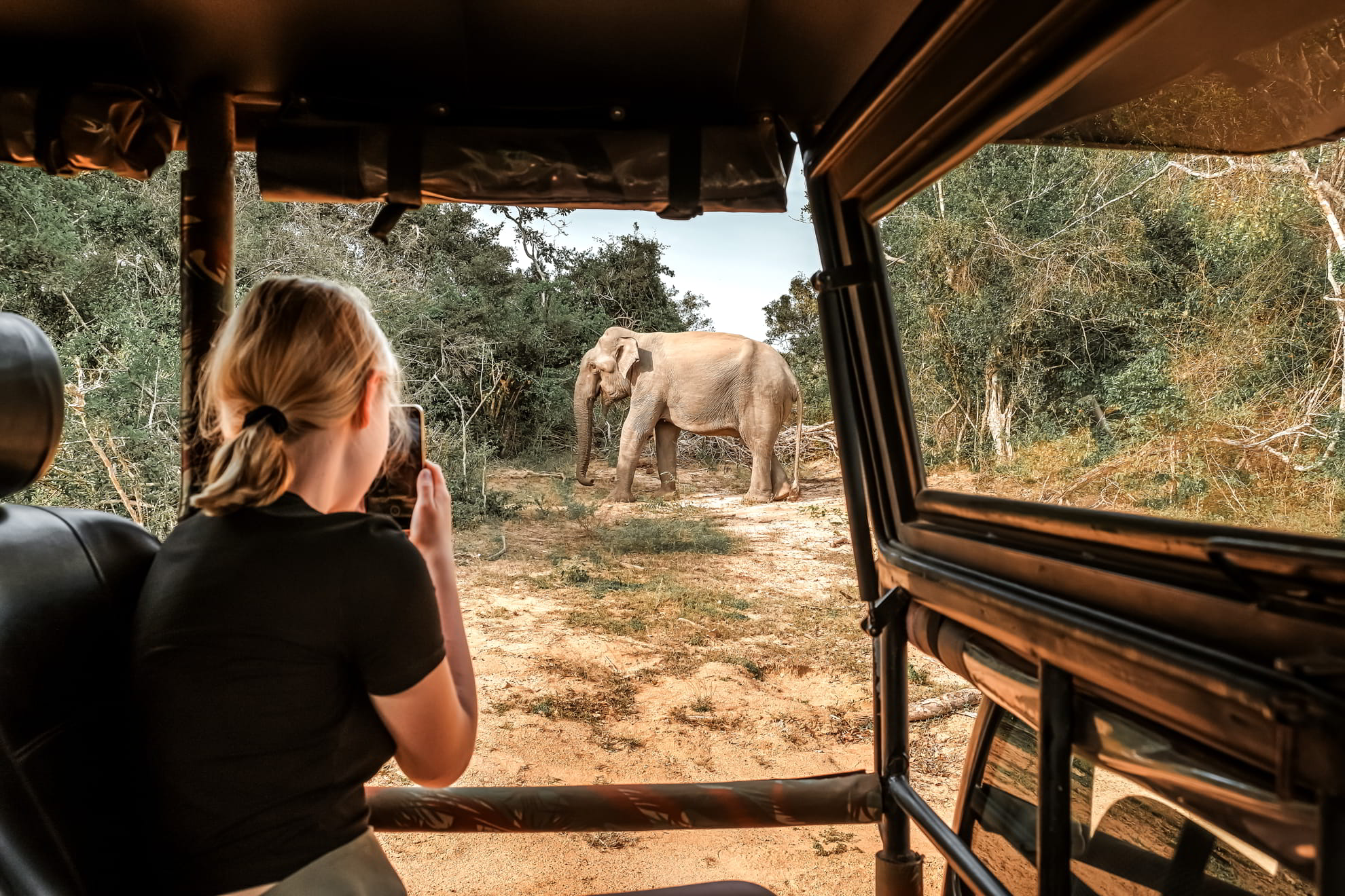 Hint Okyanusu’Nun İncisi Sri Lanka: 8 Gün 5 Gece