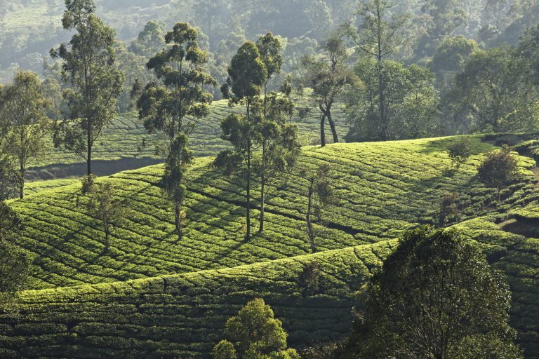 THY ile Her Şey Dahil Sri Lanka Turu Programı