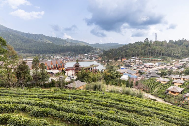 Çay bahçeleriyle çevrili Nuwara Eliya kasabası
