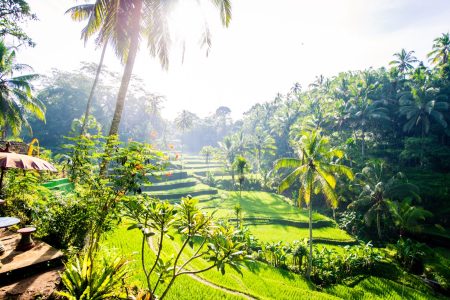 Bali Turu Kaç Gün Olmalı? 7, 8 ve 11 Günlük Programlar