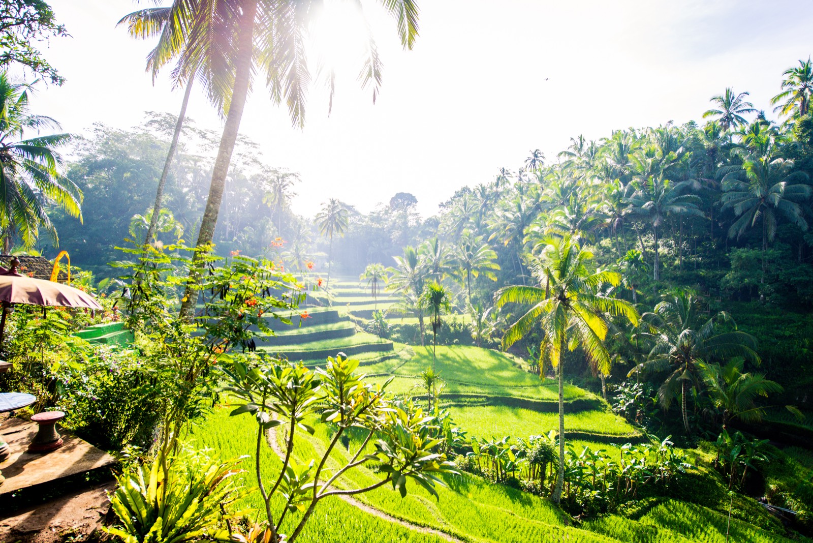 Tegallalang pirinç terasları, Ubud