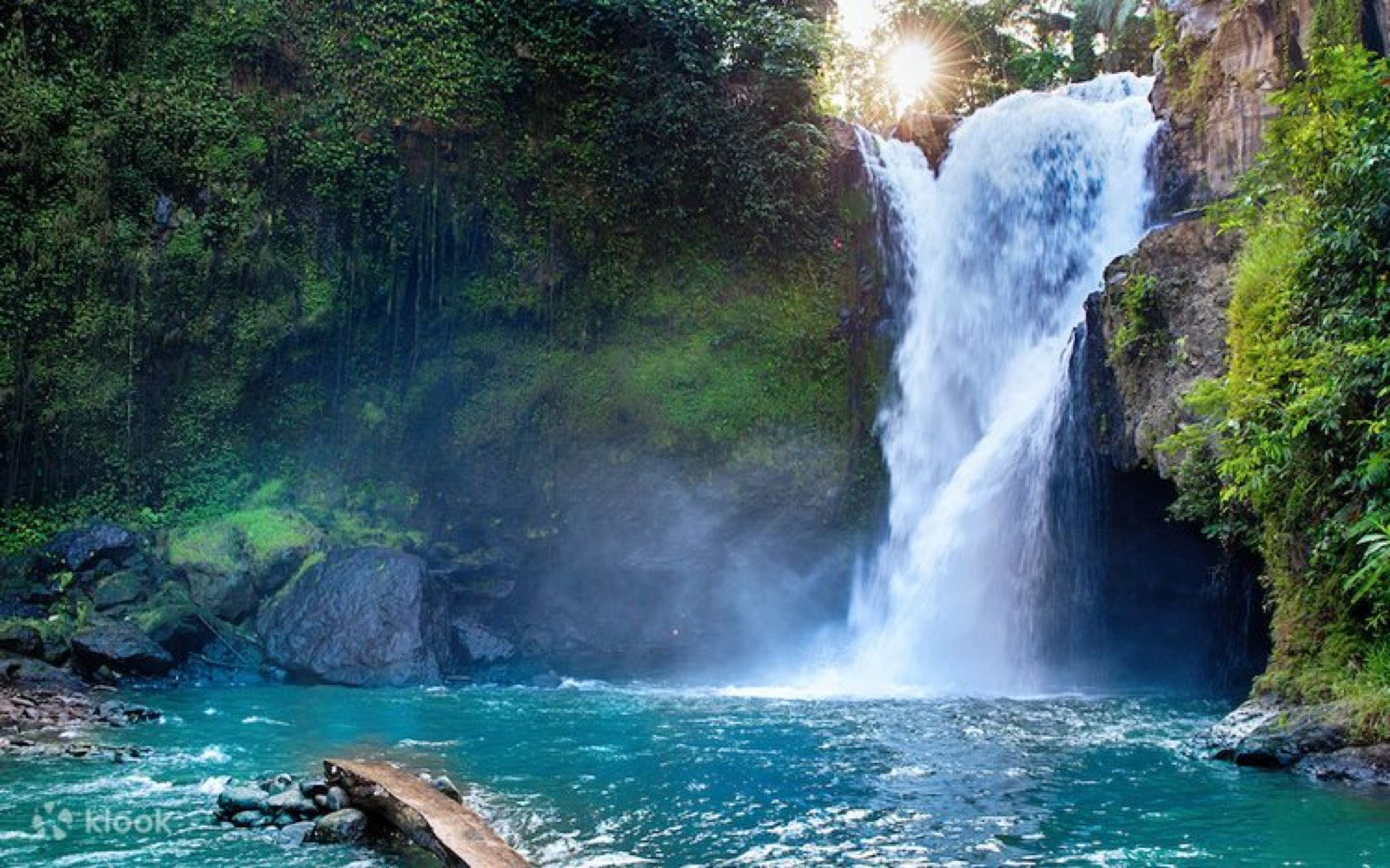 The Jungle Club, Bali