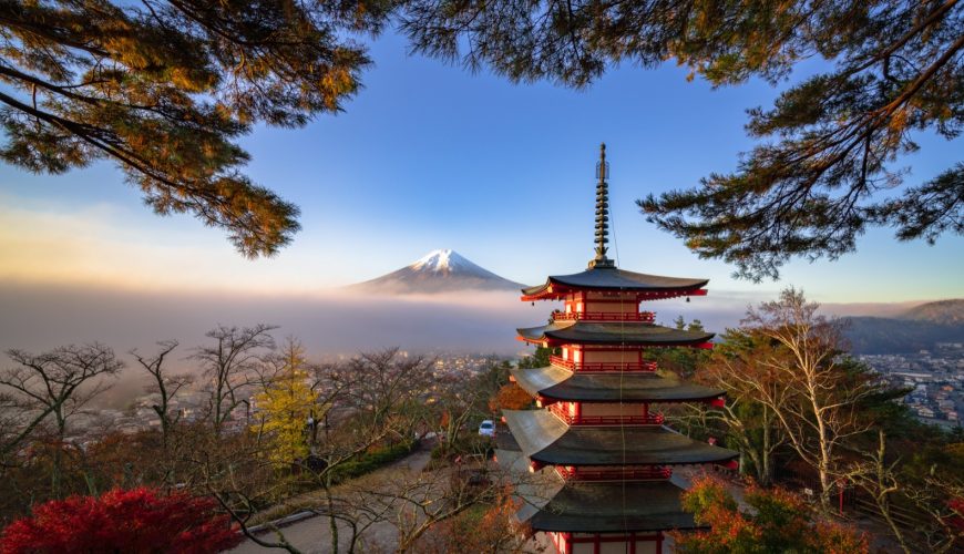 Japonya’ya Ne Zaman Gidilir? Sakura, Momiji ve Sezon Rehberi