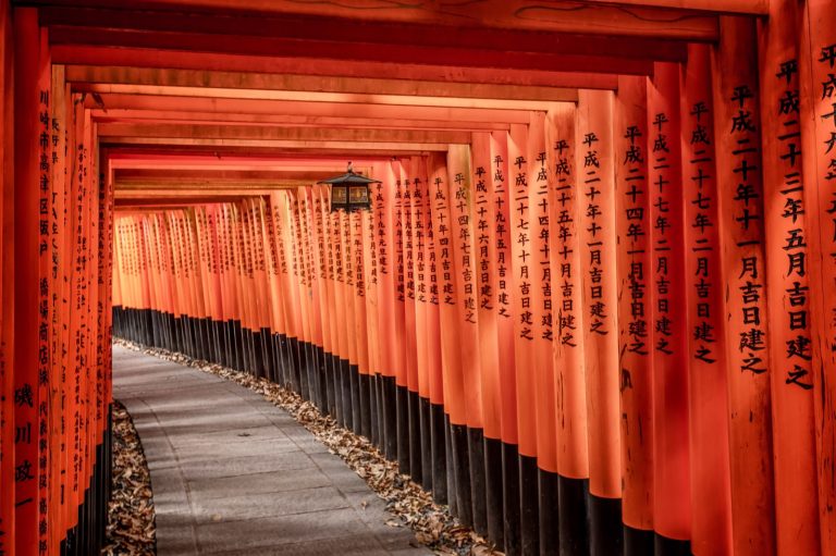 THY ile Direkt Uçuş Şahane Japonya Turu Tokyo, Kyoto, Nara, Osaka