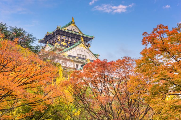 THY ile Direkt Uçuş Şahane Japonya Turu Tokyo, Kyoto, Nara, Osaka