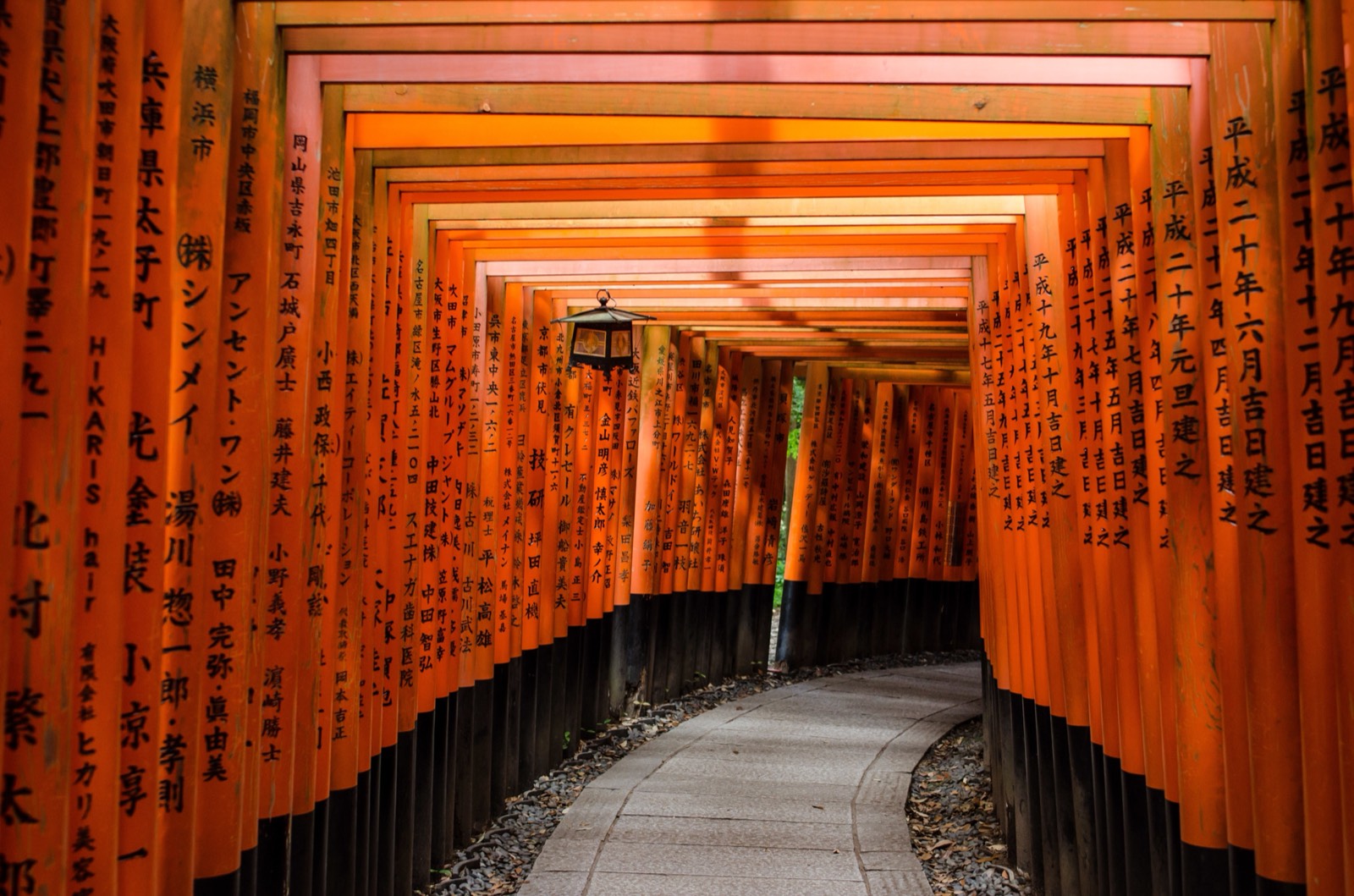 Kyoto Fushimi Inari Tapınağı turuncu torii kapıları