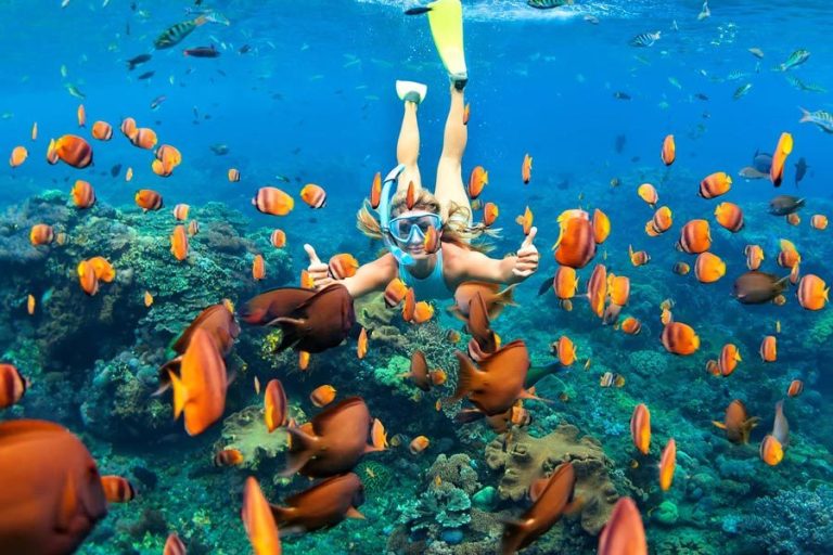 THY İle Phuket Bangkok Turu 7 Gün 6 Gece 17-23 Mayıs 2027 2. gün 1. görsel: Phi Phi Adaları’nda şnorkel Hayta Yollarda Travel
